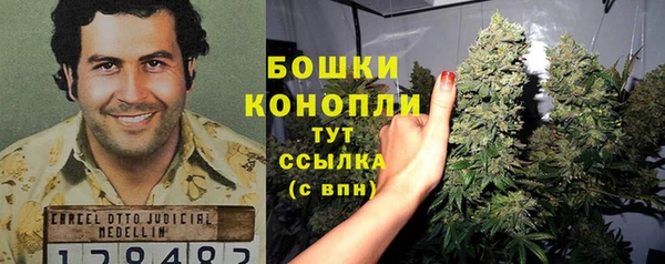 мяу мяу мука Баксан