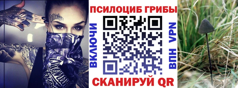 Галлюциногенные грибы Psilocybine cubensis  KRAKEN зеркало  Мичуринск 
